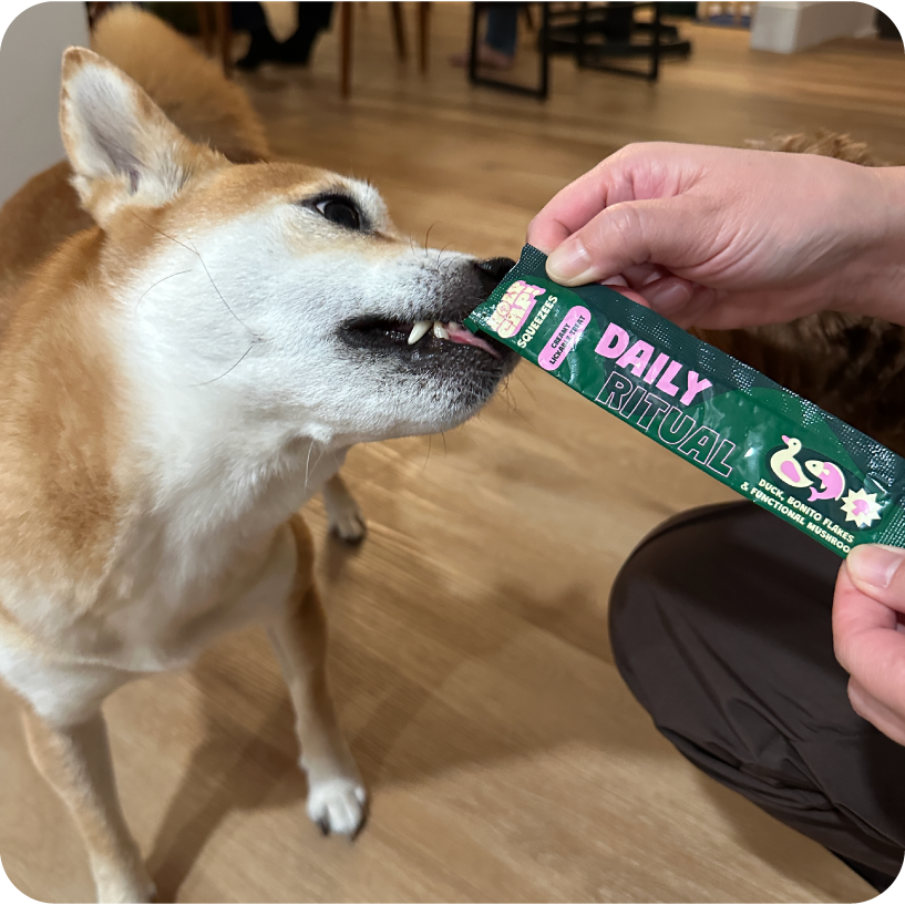 Daily Ritual Dog - Duck, Dried Bonito Flakes & Mushroom