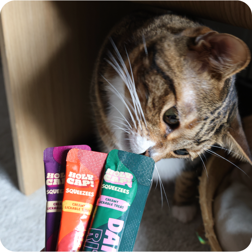 Calm & Chill Cat - Mackerel, Mushroom & Turkey