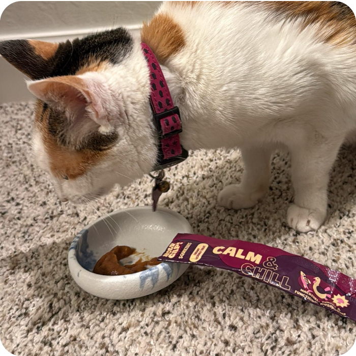 Calm & Chill Cat - Mackerel, Mushroom & Turkey