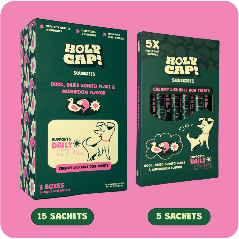 Daily Ritual Dog - Duck, Dried Bonito Flakes & Mushroom