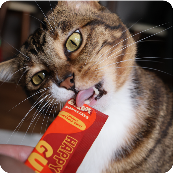 Happy Gut Cat - Sardine & Mushroom